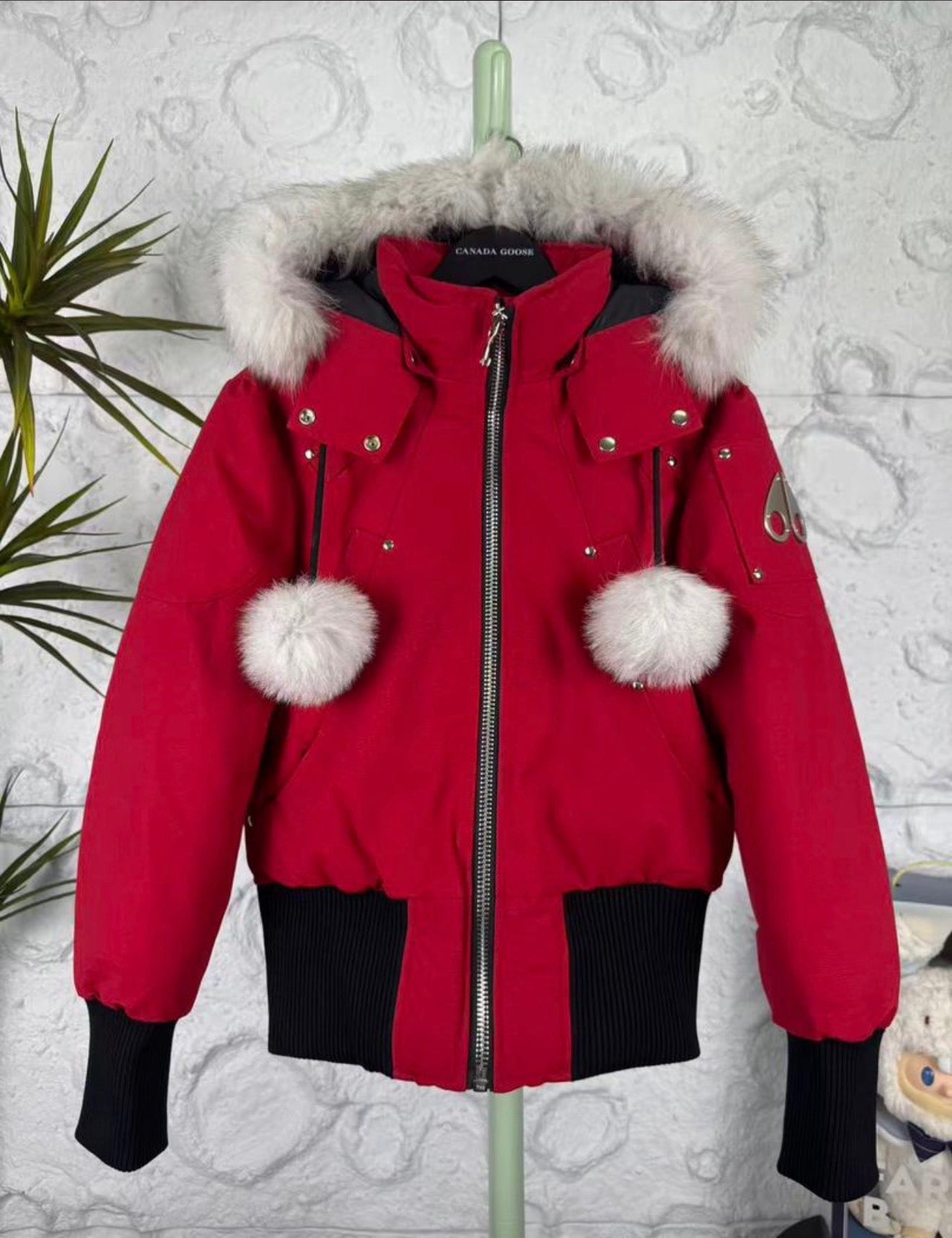 Men’s & Women’s Apparel